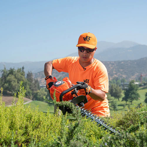 Los cortasetos más populares entre los jardineros peruanos